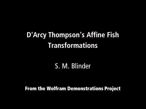 D'Arcy Thompson coordinate-grid transformation morphing one fish into another