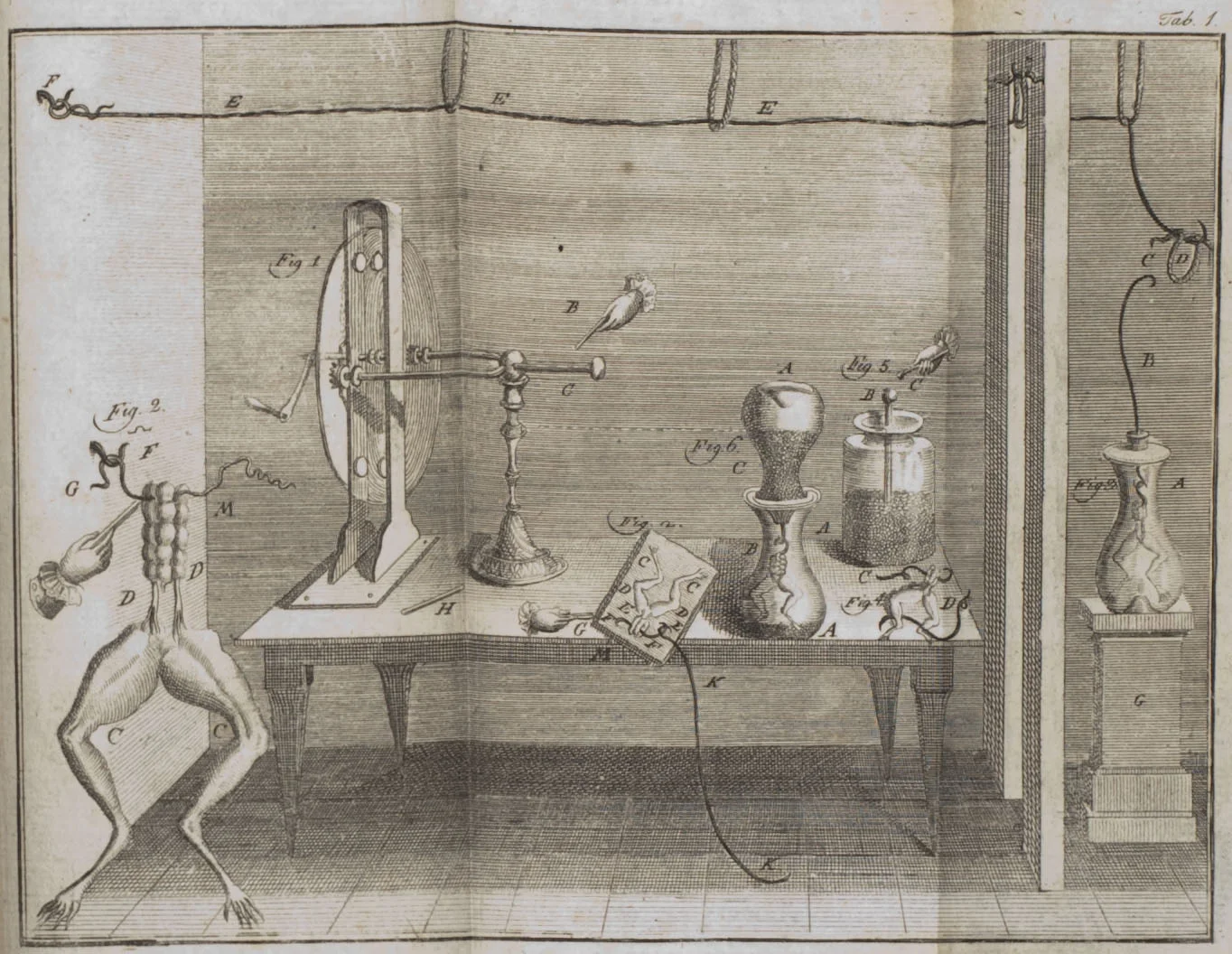 Galvani's 1791 frog-leg apparatus, plate from De Viribus Electricitatis