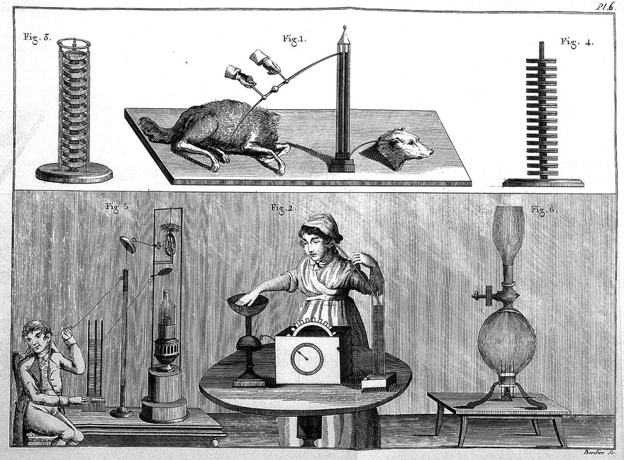 Engraving of Aldini's galvanic experiments on bodies and severed heads, 1804