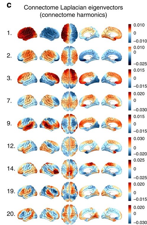 Cortical-surface renders of connectome harmonic modes 1 through 20, each a smooth red/blue standing-wave pattern of the graph Laplacian eigenvectors across the brain