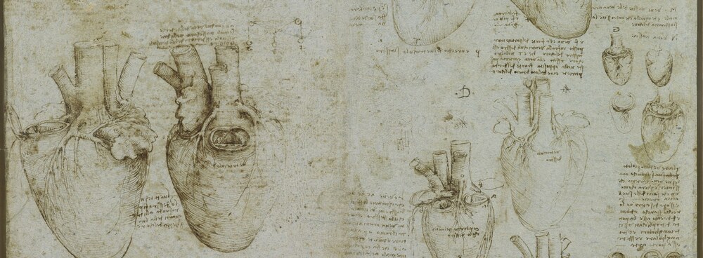 Leonardo da Vinci's anatomical studies of the heart showing chambers, great vessels and valves