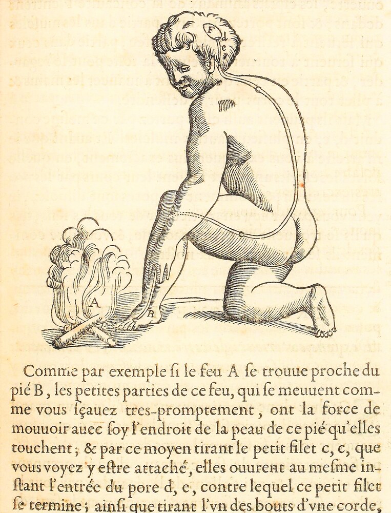 17th-century engraving from Descartes's Traité de l'homme showing a foot near a fire and the nerve pathway producing a reflex withdrawal