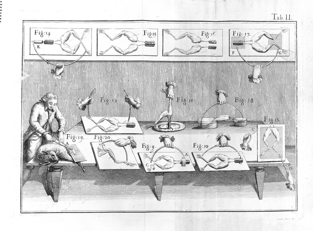 Engraved plate illustrating Galvani's electrical experiments on frog muscle