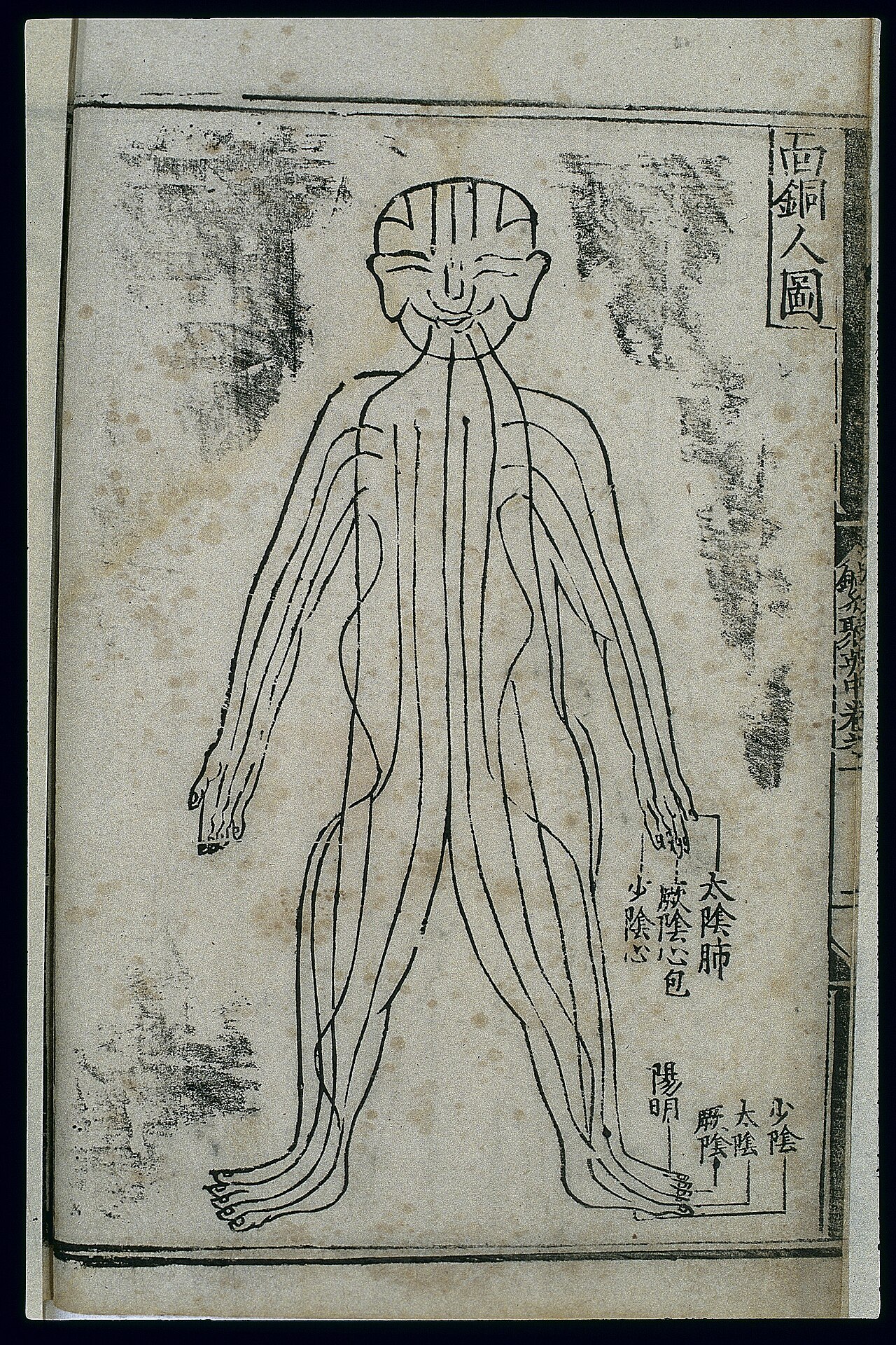 Chinese woodcut of the Bronze Man acupuncture figure, front view, with meridian channels traced head-to-foot and labeled in Chinese