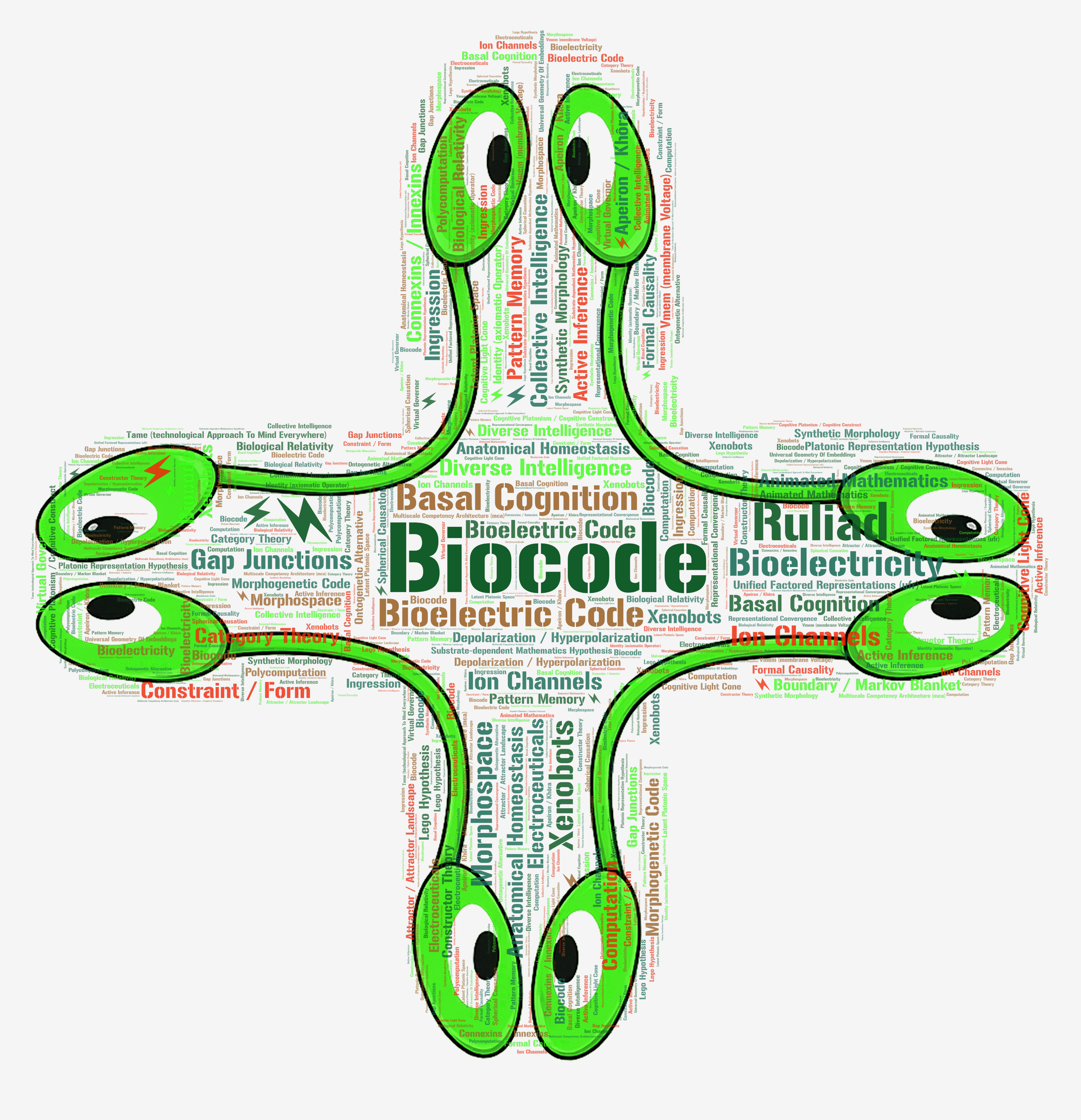 Biocode word cloud: a cell-shaped silhouette tiled with the vocabulary of Levin's research program — Biocode, Bioelectric Code, Basal Cognition, Morphospace, Xenobots, Gap Junctions, Ion Channels, Pattern Memory, Anatomical Homeostasis, Cognitive Light Cone, and dozens more.