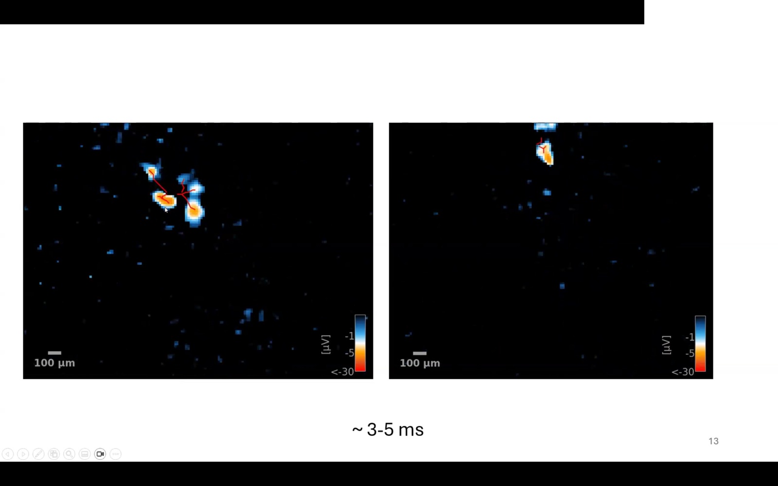 Functional voltage imaging of cortical neurons in culture (Clawson lab)