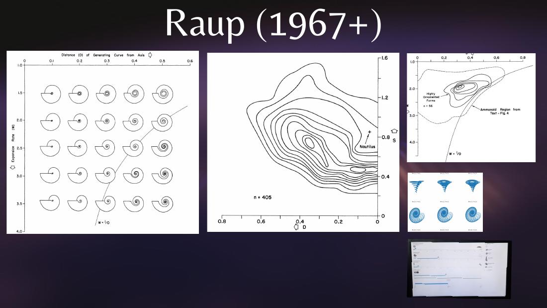 Raup's 1967 published figure: 5×5 grid of theoretical shells across W (expansion rate) × D (distance from coiling axis), the n=405 contour density map of where real gastropod and ammonoid shells actually occur with Nautilus marked, and the highly-ornamented vs ammonoid sub-region from text-Fig. 4.