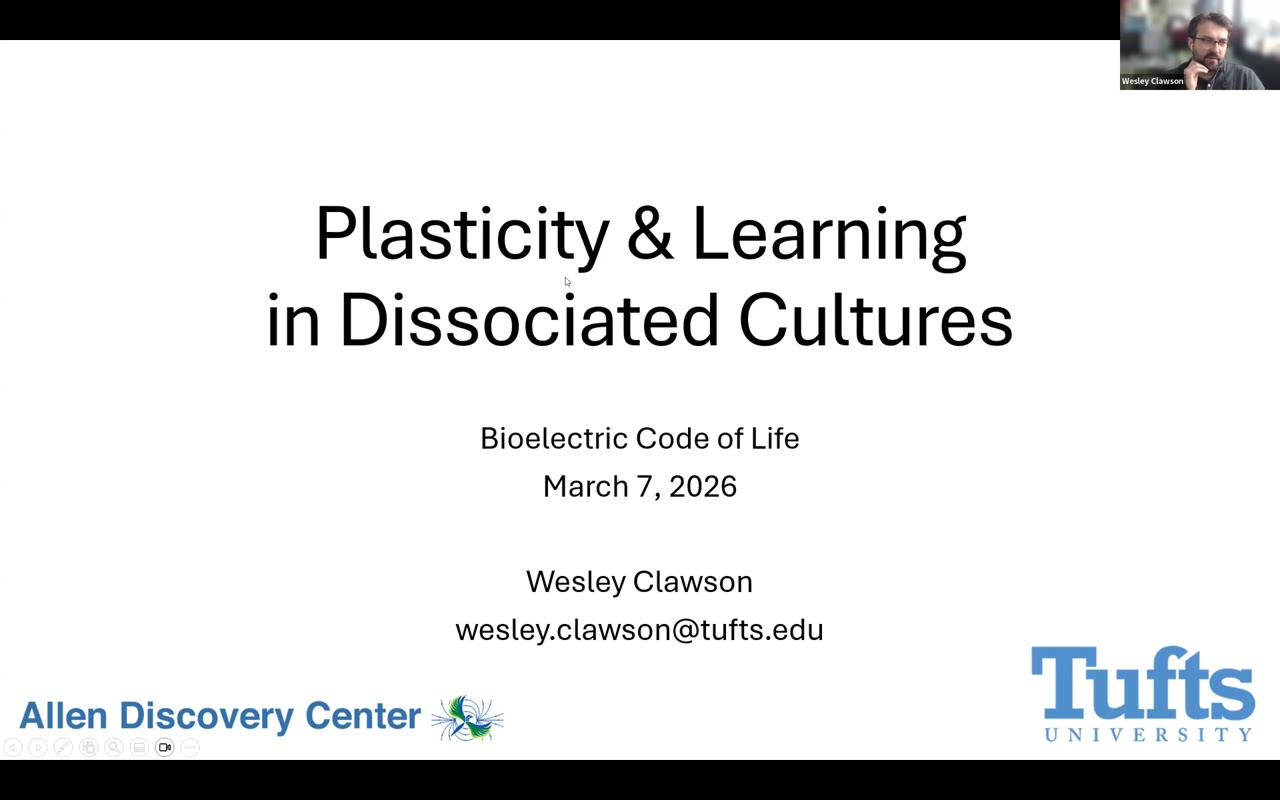 Title slide of Wesley Clawson's Bioelectric Code of Life talk: 'Plasticity & Learning in Dissociated Cultures', March 7 2026, Allen Discovery Center · Tufts